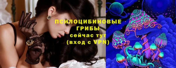 PSILOCYBIN Верхнеуральск