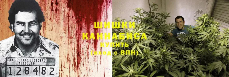 даркнет официальный сайт  как найти наркотики  Порхов  Бошки марихуана THC 21% 